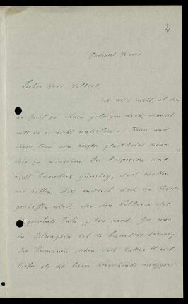 Nr. 2: Brief von Alfred Haar an David Hilbert, Budapest, 7.1.1919