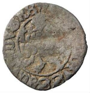 Fundmünze, Weißpfennig, 1471 - 1516