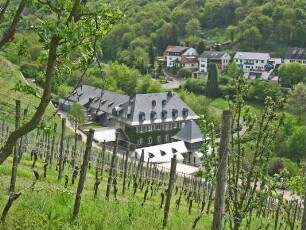 Staatsweingut Assmannshausen; Rüdesheim, Höllenbergstraße 10, Höllenberg