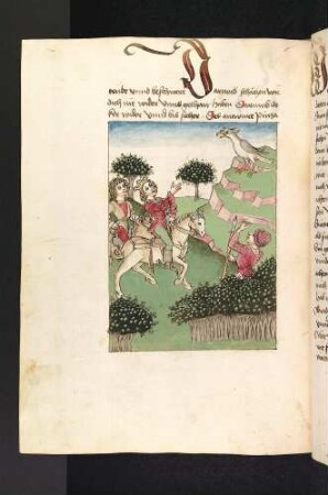 Der König und sein Gefolge finden den Pinza-Vogel auf einem hohen Felsen; (Kapitel IX: Von dem König und dem Vogel Pinza).