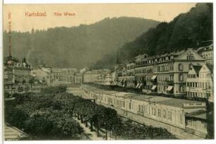 Karlsbad. Alte Wiese