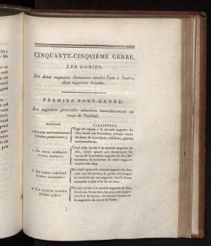 CINQUANTE-CINQUUIÉME GENRE