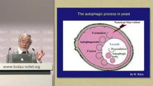 Lessons From Yeast - Autophagy: Intracellular Recycling System