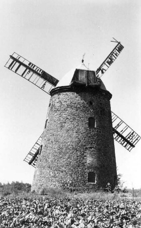 Niederndodeleben-Schnarsleben. Turmholländer, erbaut 1808-1810