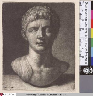 [Lorbeerbekränzte männliche Büste; Laureate Male Bust]