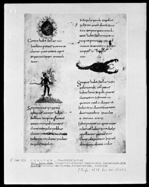 Komputistisch-Astronomisches Sammelwerk — Bildseite mit drei Miniaturen, Folio 116recto