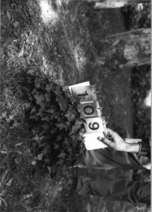 Grabstein 109 (Index: 99789964) Zustand: Fragment Beschreibung: Fragment: Grabstein 109