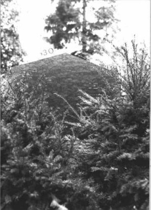 Grabstein 30 (Index: 100116480) Material: Granit Zustand: gut Maße HxBxT: 120x104x15 cm Beschreibung: Stele, breit, Sockel, giebelartiger Abschluß mit eingezogenen Voluten zu beiden Seiten Besonderheit: Doppelgrab, die zweite Beerdigung fehlt: Grabstein 30