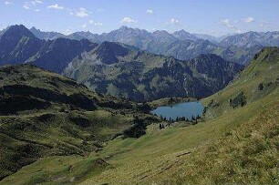 Deutschlands wilde Vögel - Teil 2 - Die Reise geht weiter