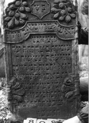 Grabstein 808 (Index: 99751503) Material: Sandstein Zustand: gut Maße HxBxT: 125x56x11 cm Beschreibung: Stele, geschwungen eingezogener Rundbogenabschluß Symbolik: Feigen, Wappenschild, Blätter, Schriftband: Grabstein 808B