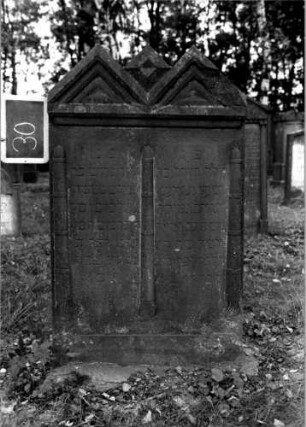 Grabstein 30 (Index: 100111064) Material: Sandstein Zustand: beschädigt und verwittert Maße HxBxT: 128x75x17 cm Beschreibung: Doppelstele, Giebel Symbolik: drei gesenkte Fackeln, Blätterfries Besonderheit: Doppelgrab; - Kindergrab: Grabstein 30