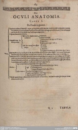 De Oculi Anatomia.