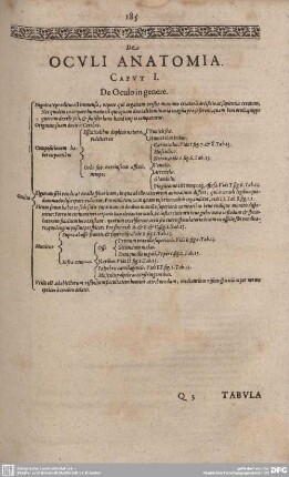 De Oculi Anatomia.
