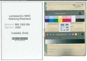 Entnazifizierung Ernst Custodis, geb. 23.03.1898 (Hochschullehrer)