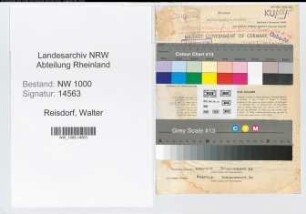 Entnazifizierung Walter Reisdorf, geb. 11.09.1889 (Beamter)