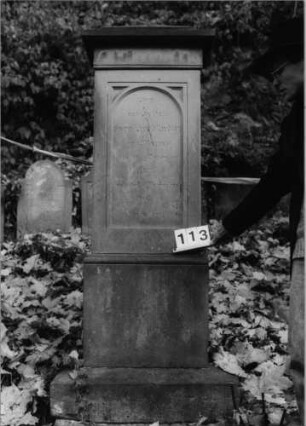 Grabstein 113 (Index: 100091008) Maße HxBxT: 190x59x31 cm: Grabstein 113