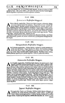 Cap. XVIII. Jamacaii Brasisliensibus Marggravii