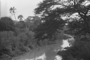 Der Fluss Lupa : Flusslandschaft des Lupa