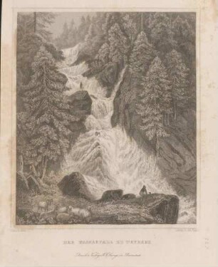 Der Wasserfall zu Triberg