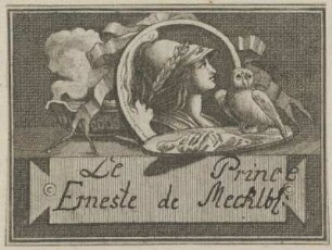 Erneste, Prinz von Mecklenburg