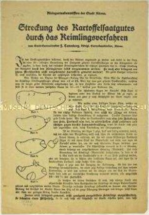 Merkblatt zur Pflanzung von Kartoffeln in Kriegszeiten
