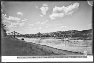 Dresden-Loschwitz mit Loschwitzer Brücke und Elbdampfer