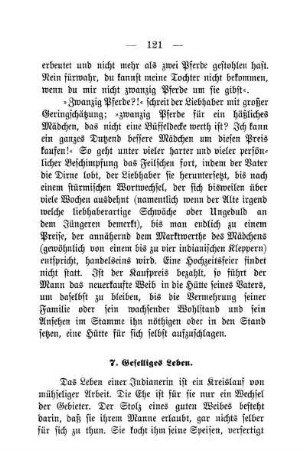 7. Geselliges Leben