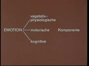 Ein Versuch zur kognitiven Emotionstheorie