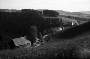 Blick von Westen in ein Tal bei Neuhäusle