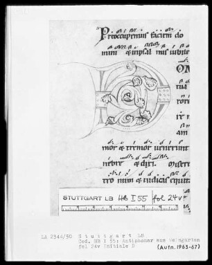 Monastisches Antiphonale — Initiale D, Folio 24verso