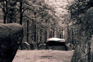 Klecker Wald: Hünengrab, näher, Vordergrund große Steine