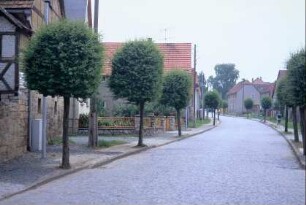 Blick entlang der gepflasterten Dorfstraße, beidseitig Gehwege mit Kugelbäumen