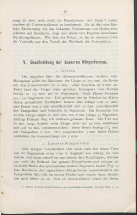 V. Beschreibung der äusseren Körperformen.