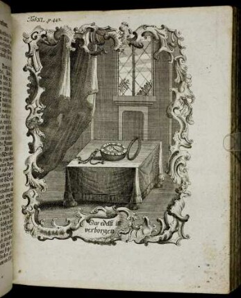 Tab. XL. p. 443.