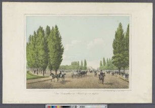 Das Dammthor in Hamburg, von außen (Ansichten von Hamburg und der Umgegend ; III,28N) (Hamburg's Vergangenheit in bildlichen Darstellungen ; III,28N)