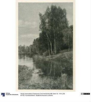 Sommerlandschaft