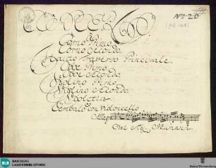 Concertos - Mus. Hs. 689 : fl, orch; G; GroF 785