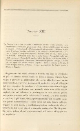 Capitolo XIII