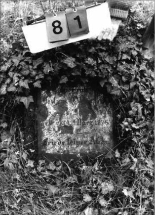 Grabstein 81