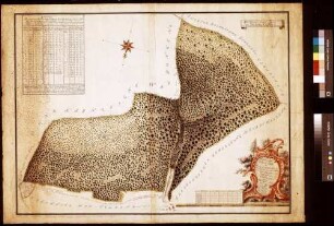 Geometrischer Grundriss über die zu der Gemeinherrschaft gehörigen Waldungen bei dem Tremhof (Thrämbacher Hof) (Inselkarte)