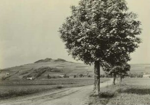 Erzgebirge. Sattelberges (Schönwalder Spitzberg 719 m) von Südwesten. Davor Schönwald (heute Krásny Les in Tschechien)