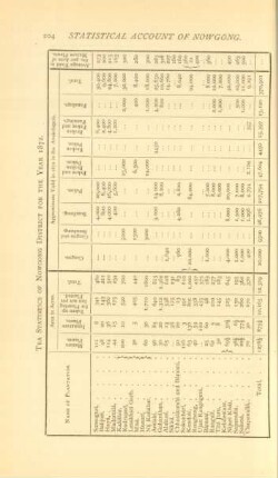 Tea statistics of Nowgong District for the year 1872