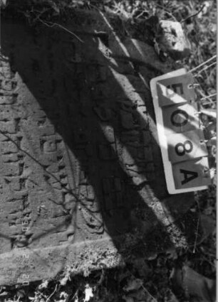 Grabstein 508A