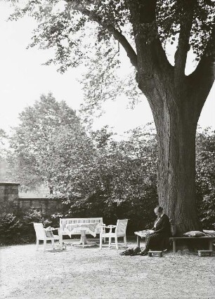 Gartenmöbel unter einem alten Baum und ältere Frau beim Lesen auf einer Rundbank um den Baum