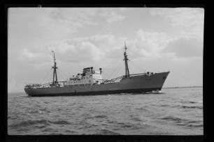 Neptun (1952), Neptun.- Dampfschifffahrts-Gesellschaft „Neptun“, Neptun Linie, D.G. "Neptun", Bremen