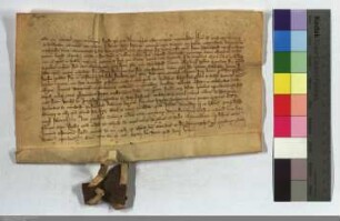 Beglaubigte Abschrift einer Urkunde von 1280 Januar 28 (Alsfeld 1280 quinto Kalendas mensis Februarii): Herdan von Ruhlkirchen entsagt zu Gunsten ...
