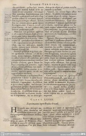CAPUT XXVIII. Experimentum ingens Pondus elevandi.