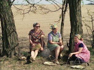 Das weite Feld