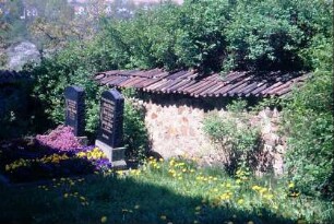 Friedhofsmauer, bewachsen