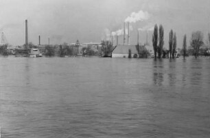 Hochwasser 1955 am Oberrhein